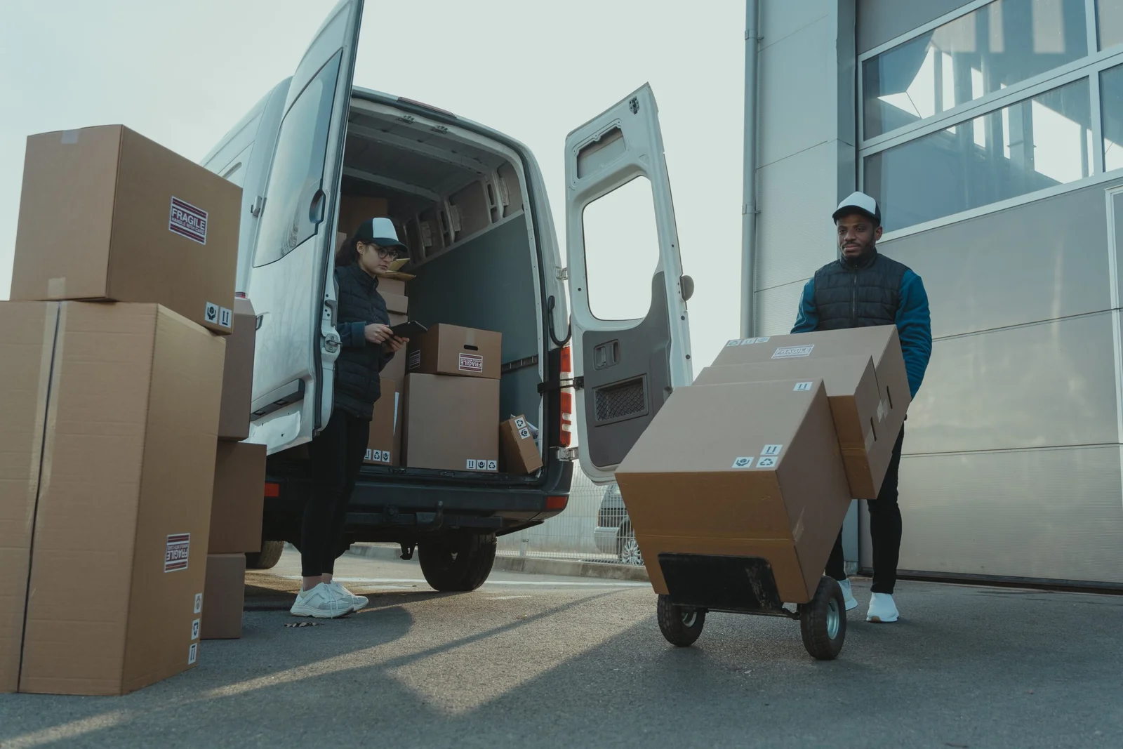 Project Cargo 2